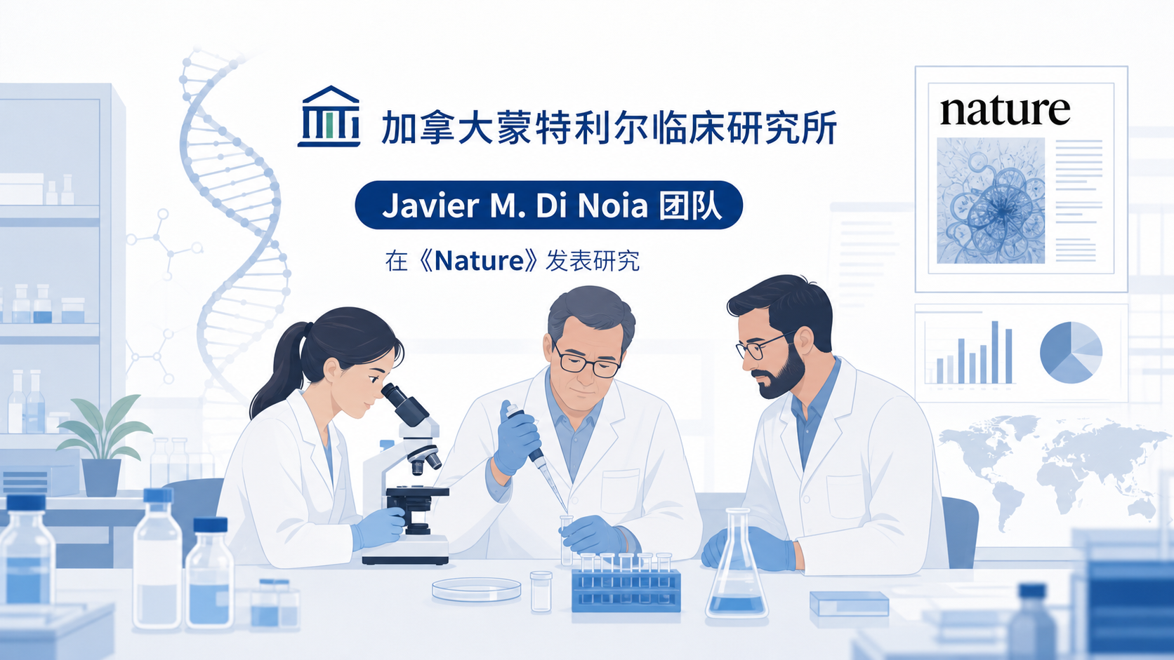 加拿大蒙特利尔临床研究所 Javier M. Di Noia 团队在《自然》(Nature)发表研究,揭示组蛋白阅读器 MLLT1 与 MLLT3 通过局部富集活化诱导型胞苷脱氨酶(AID),赋予抗体基因突变的位点特异性。这一发现阐明了 AID 为何能选择性突变免疫球蛋白基因座而不造成广泛脱靶突变的长期未解之谜。