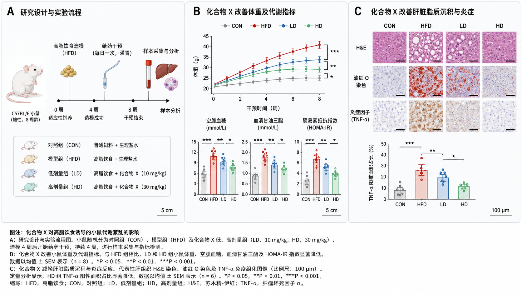 一张生物医学论文组图示意图,包含A、B、C分面标注、统一字体、统一比例尺和清晰图注,体现规范排版前后对比