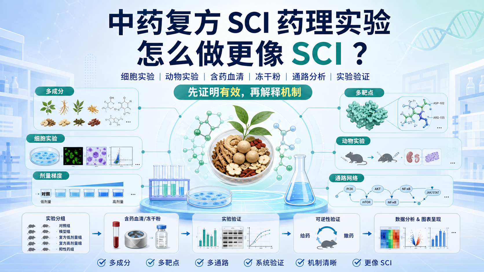 中药复方SCI药理实验技术拆解