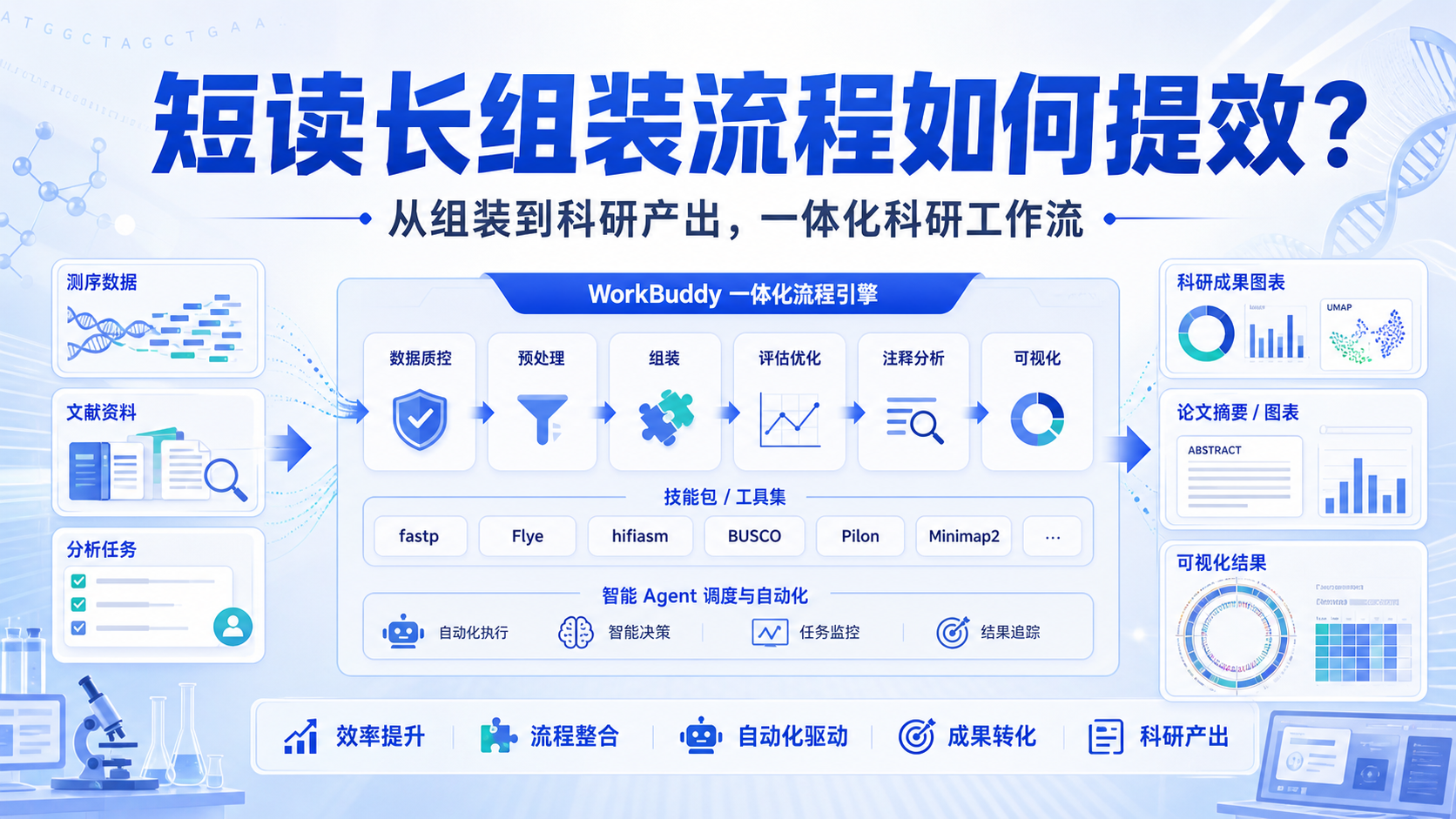 从短读长组装到科研产出:WorkBuddy全流程深度评测