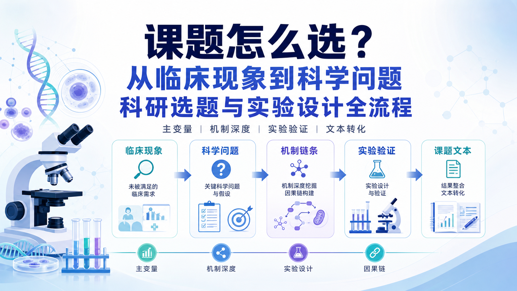 国自然选题如何高效转化?生物医学硕博生实操逻辑