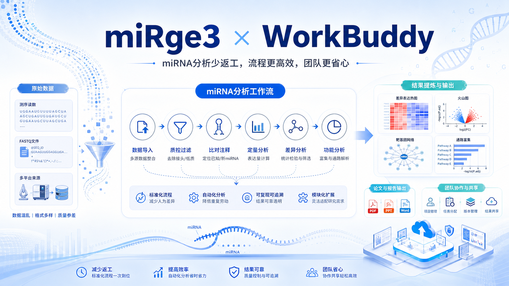 WorkBuddy联手miRge3:解锁miRNA分析新姿势
