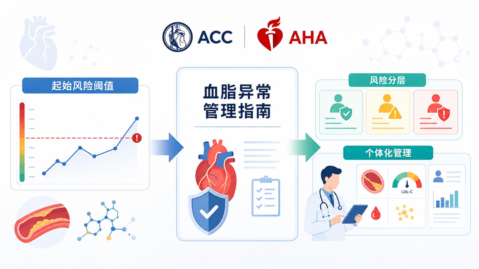 美国心脏病学会(ACC)与美国心脏协会(AHA)更新了血脂异常管理指南,核心原则从"起始风险阈值"转向"尽早启动、长期更低 LDL 以降低累积心血管风险"。新指南采用 PREVENT-ASCVD 风险计算器,将 10 年 ASCVD 风险 ≥5% 作为他汀 I 类适应症阈值,并恢复明确的 LDL-C 目标值,同时强化非他汀类药物(依折麦布、PCSK9 抑制剂、bempedoic acid、inclisiran 等)在联合治疗中的地位。