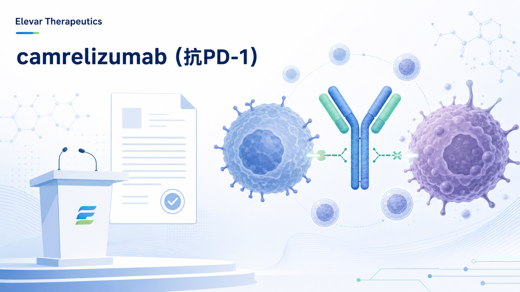 Elevar Therapeutics宣布已就卡瑞利珠单抗(camrelizumab,抗PD-1抗体)联合阿帕替尼(rivoceranib,口服VEGF-TKI)一线治疗不可切除或转移性肝细胞癌(uHCC)向美国FDA重新提交新药申请(NDA)。该联合方案在3期CARES-310研究中中位总生存期达23.8个月,显著优于索拉非尼,为晚期肝癌一线治疗再添重磅证据。