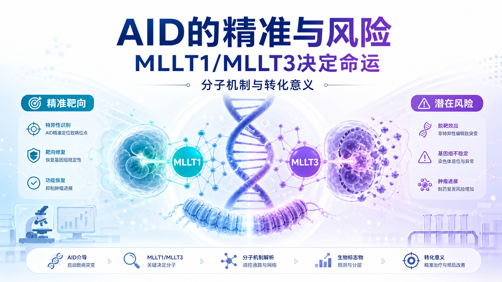《自然》揭示组蛋白阅读器 MLLT1/MLLT3 决定抗体基因 AID 突变的位点特异性