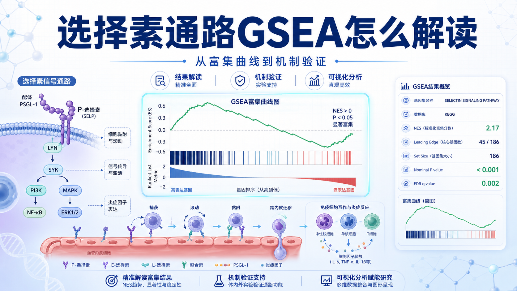 选择素介导的信号通路:GSEA可视化策略
