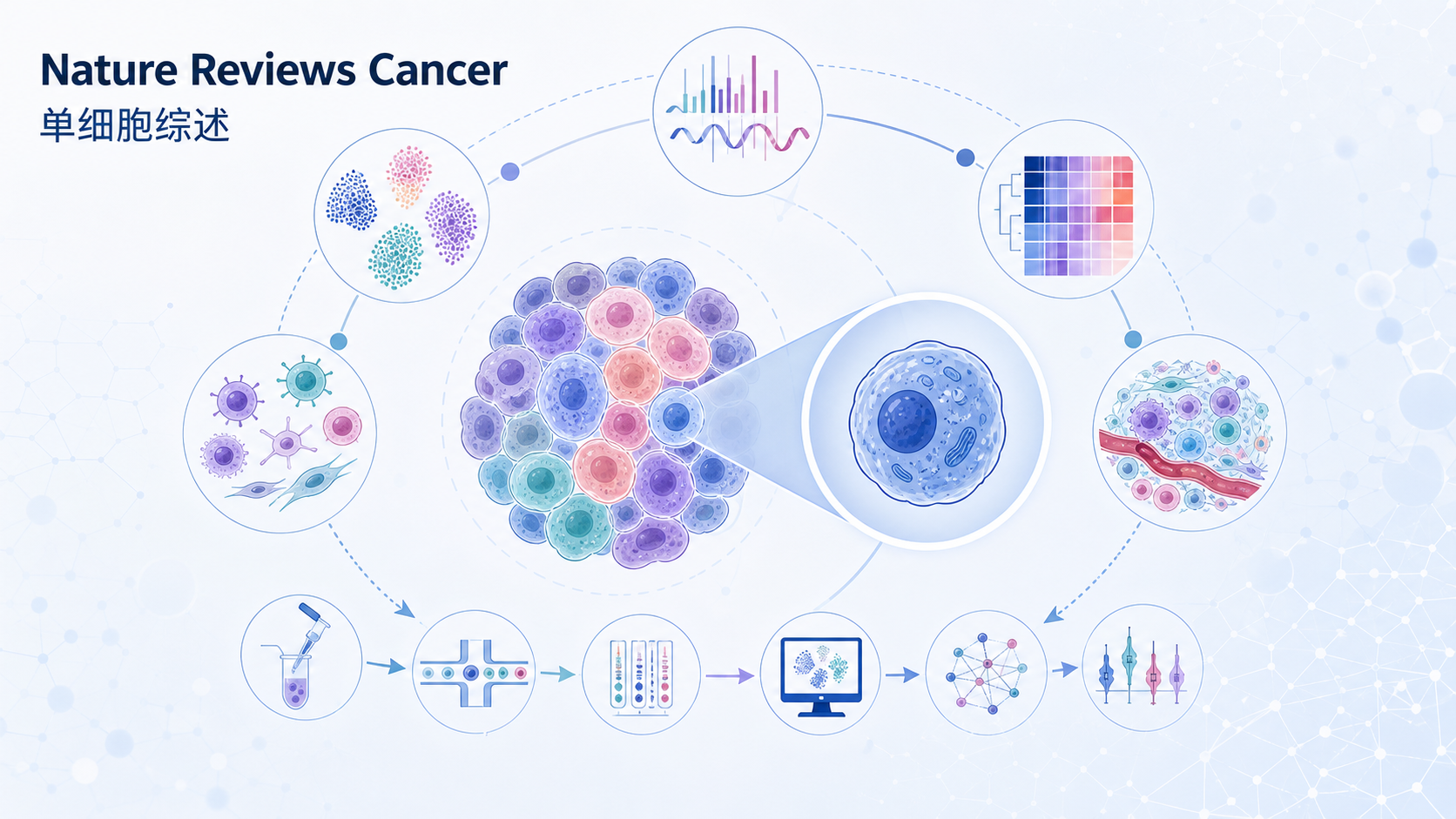 《自然·综述·癌症》（Nature Reviews Cancer）刊发重磅综述，系统梳理了单细胞基因组学如何进入癌症研究，以及如何从单细胞测序数据重建肿瘤的进化树（系统发育）。文章指出，肿瘤系统发育不能简单照搬经典进化生物学的方法，并系统比较了近年来涌现的单细胞肿瘤系统发育重建方法的模型、假设与局限。