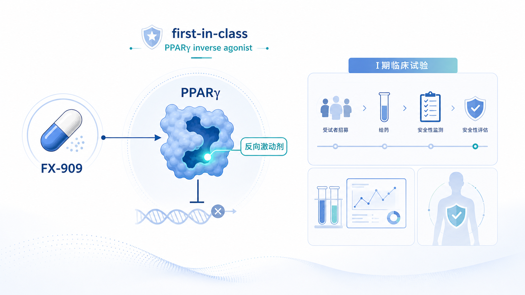 一项针对 first-in-class PPARγ 反向激动剂 FX-909 的 I 期 CLINPRO-1 研究结果在 ASCO 泌尿生殖肿瘤研讨会(ASCO GU)Late-Breaking 环节报告,并同步发表于《自然·医学》(Nature Medicine)。数据显示,FX-909 在重度经治的晚期尿路上皮癌(UC)患者中表现出可管理的毒性,且客观缓解(17.5%)集中于免疫组化检测 PPARγ 高表达(TPS≥60%)、呈管腔亚型的肿瘤。这一结果为"PPARγ 作为管腔型尿路上皮癌治疗靶点"提供了早期临床验证。本文解读研究设计、生物标志物分层与安全谱。