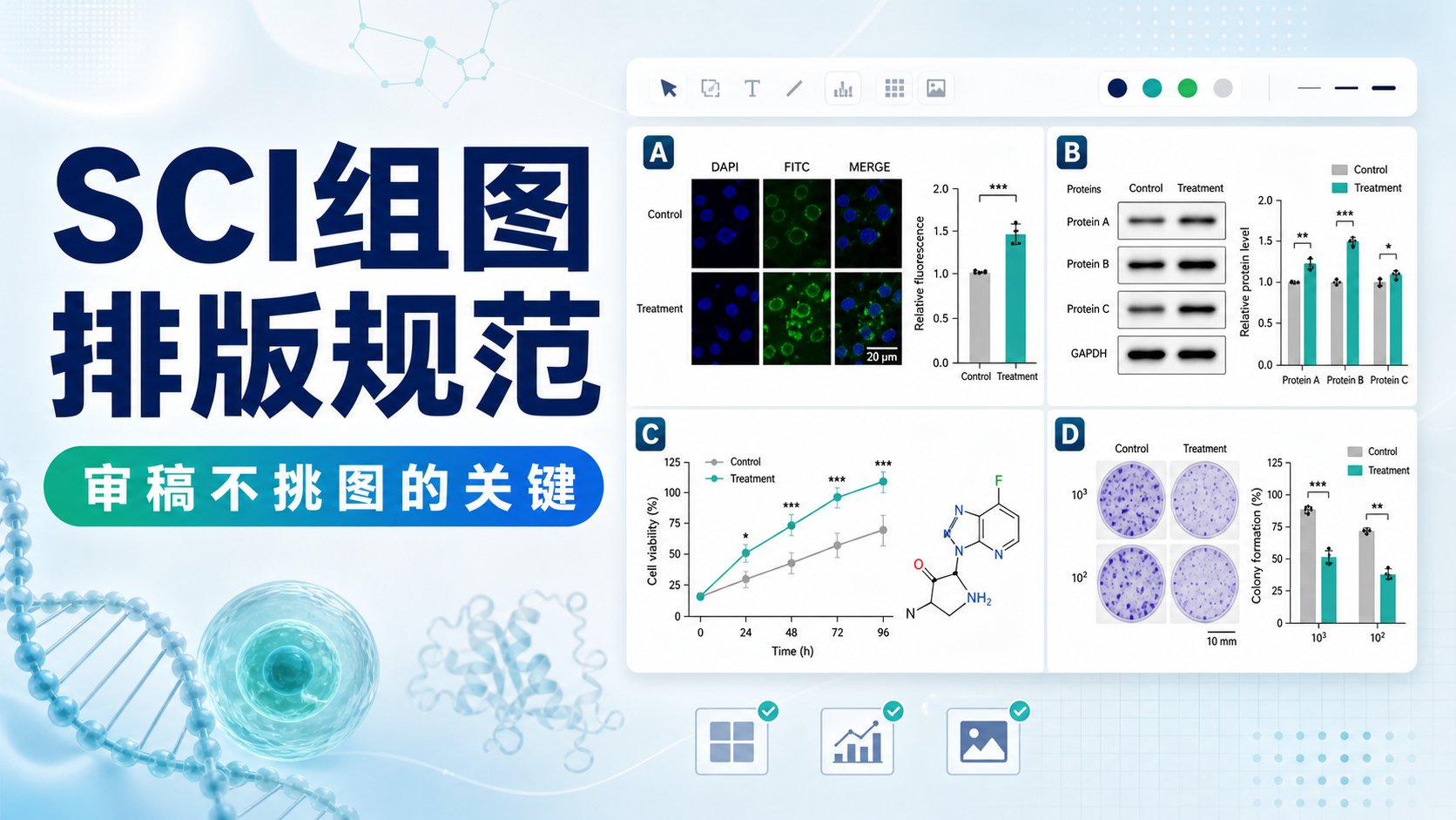 生物医学SCI组图排版:专业严谨的规范与技巧