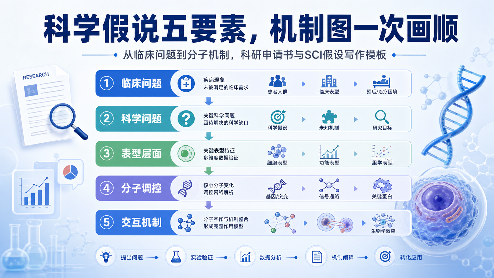 科学假设五要素拆解,国自然机制图一次过