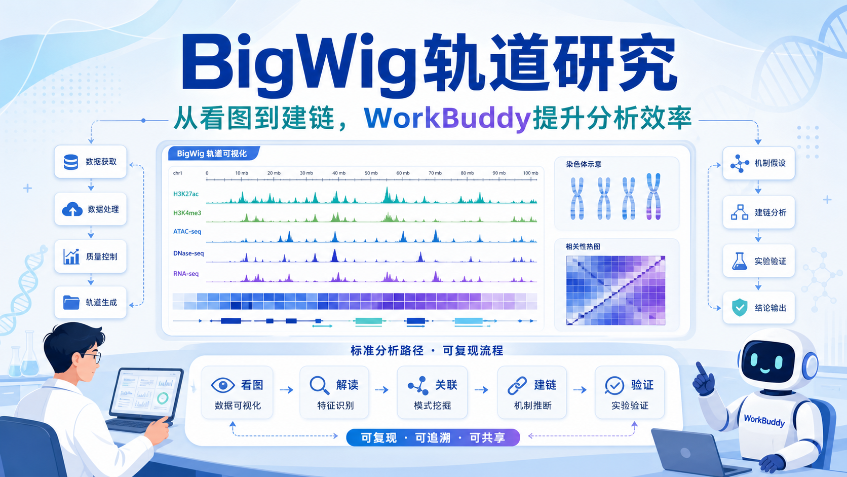WorkBuddy在基因组BigWig轨道研究中的应用