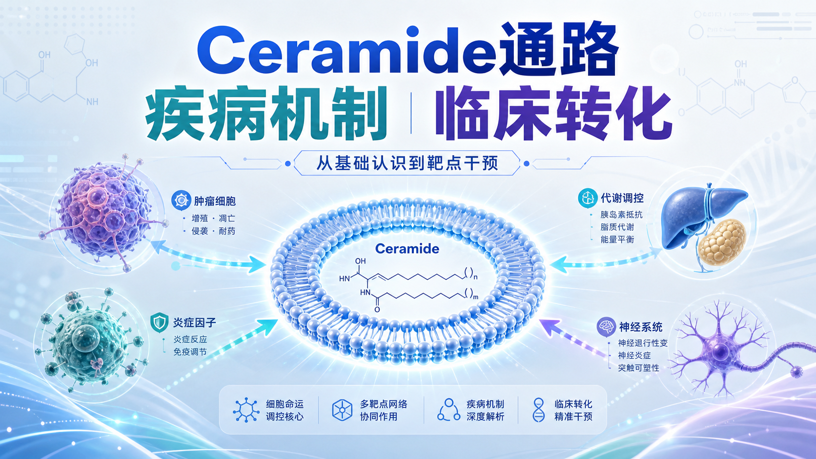 靶向Ceramide通路：从基础到临床新策略